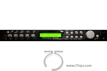 Enlarged view of image